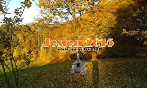 Jesień 2015